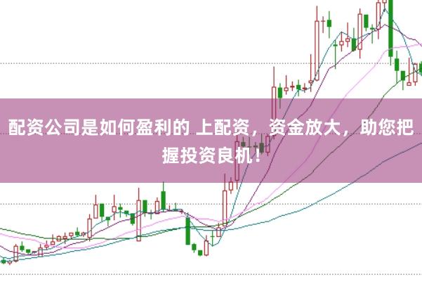 配资公司是如何盈利的 上配资，资金放大，助您把握投资良机！