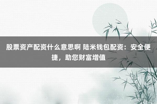 股票资产配资什么意思啊 陆米钱包配资：安全便捷，助您财富增值