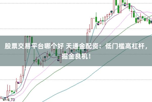 股票交易平台哪个好 天通金配资：低门槛高杠杆，掘金良机！
