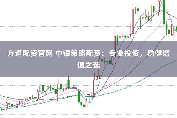 方道配资官网 中银策略配资：专业投资，稳健增值之选