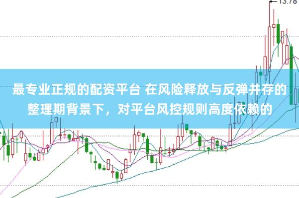 最专业正规的配资平台 在风险释放与反弹并存的整理期背景下,对平台风控规则高度依赖的
