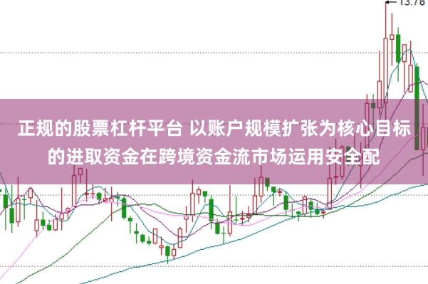 正规的股票杠杆平台 以账户规模扩张为核心目标的进取资金在跨境资金流市场运用安全配