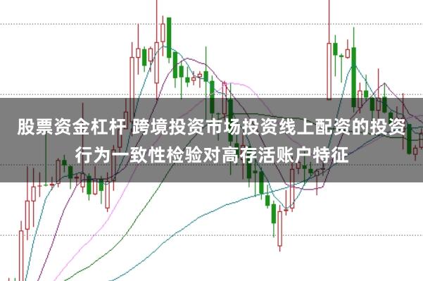 股票资金杠杆 跨境投资市场投资线上配资的投资行为一致性检验对高存活账户特征