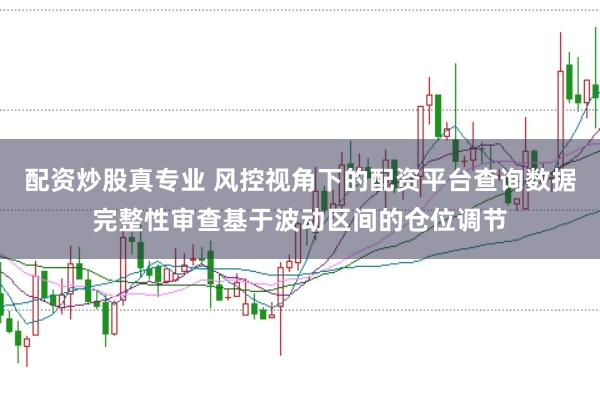 配资炒股真专业 风控视角下的配资平台查询数据完整性审查基于波动区间的仓位调节