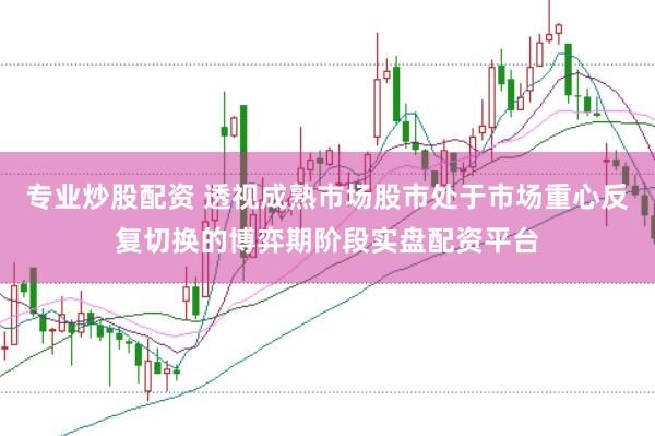 专业炒股配资 透视成熟市场股市处于市场重心反复切换的博弈期阶段实盘配资平台