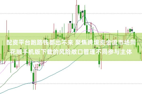 配资平台跑路钱都出不来 聚焦跨境资金流市场同花顺手机版下载的风险敞口管理不同参与主体
