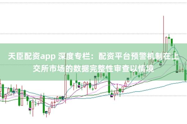 天臣配资app 深度专栏：配资平台预警机制在上交所市场的数据完整性审查以情境