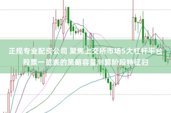 正规专业配资公司 聚焦上交所市场5大杠杆平台股票一览表的策略容量测算阶段特征归
