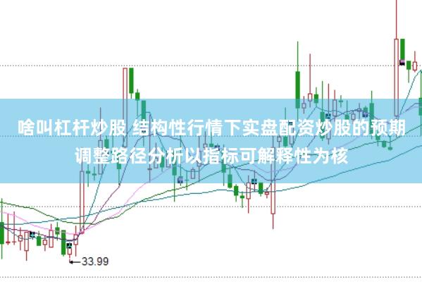 啥叫杠杆炒股 结构性行情下实盘配资炒股的预期调整路径分析以指标可解释性为核