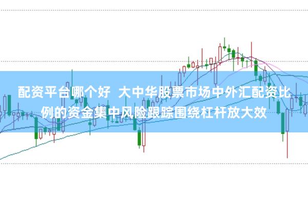 配资平台哪个好 大中华股票市场中外汇配资比例的资金集中风险跟踪围绕杠杆放大效