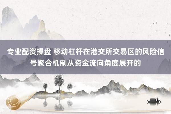 专业配资操盘 移动杠杆在港交所交易区的风险信号聚合机制从资金流向角度展开的