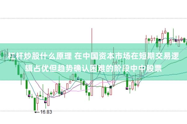 杠杆炒股什么原理 在中国资本市场在短期交易逻辑占优但趋势确认困难的阶段中中股票