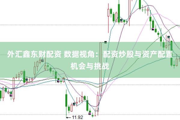 外汇鑫东财配资 数据视角：配资炒股与资产配置机会与挑战