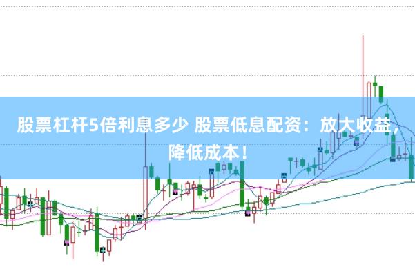 股票杠杆5倍利息多少 股票低息配资：放大收益，降低成本！