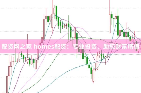 配资网之家 homes配资：专业投资，助您财富增值