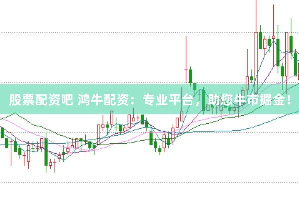 股票配资吧 鸿牛配资：专业平台，助您牛市掘金！