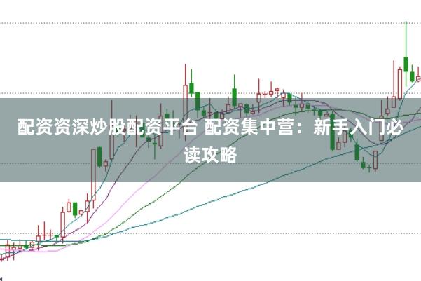配资资深炒股配资平台 配资集中营：新手入门必读攻略