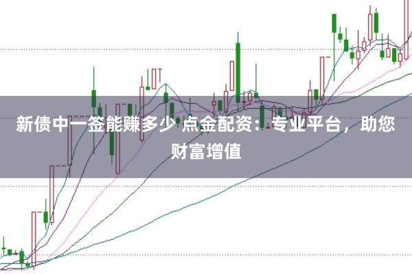 新债中一签能赚多少 点金配资：专业平台，助您财富增值