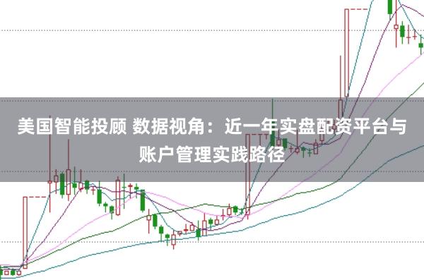 美国智能投顾 数据视角：近一年实盘配资平台与账户管理实践路径