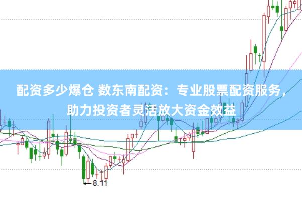 配资多少爆仓 数东南配资：专业股票配资服务，助力投资者灵活放大资金效益